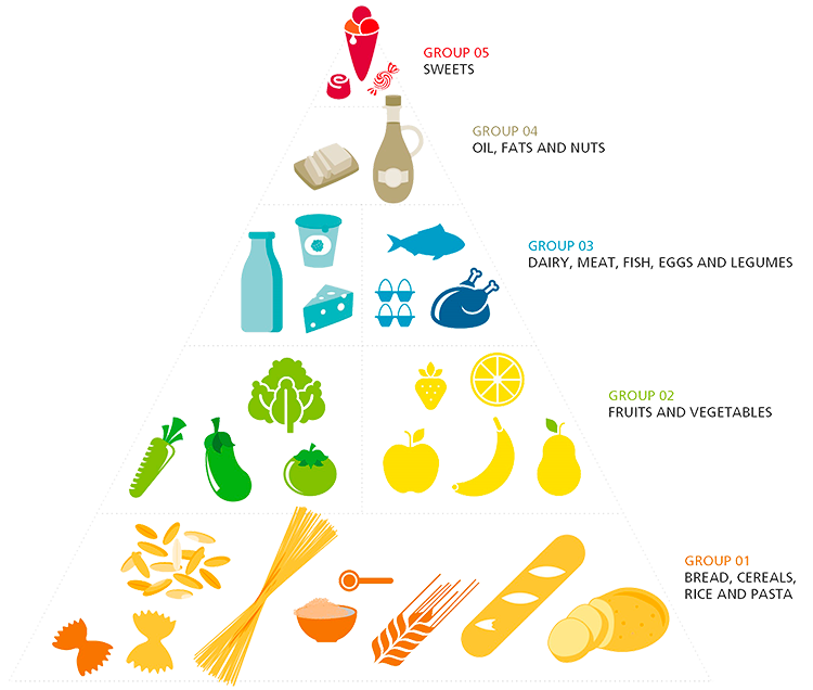 Food pyramid