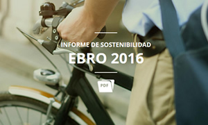 Informe Anual 2016