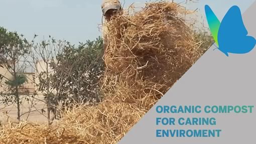 Organic compost for caring the planet