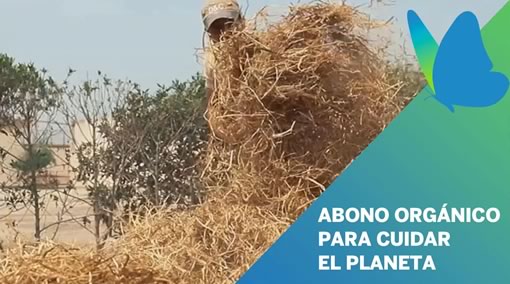 ABONO ORGÁNICO PARA CUIDAR EL PLANETA