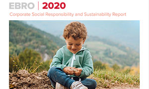 CSR Reports 2020