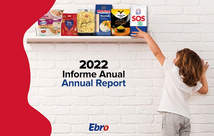 informe anual - 2022 - annual report