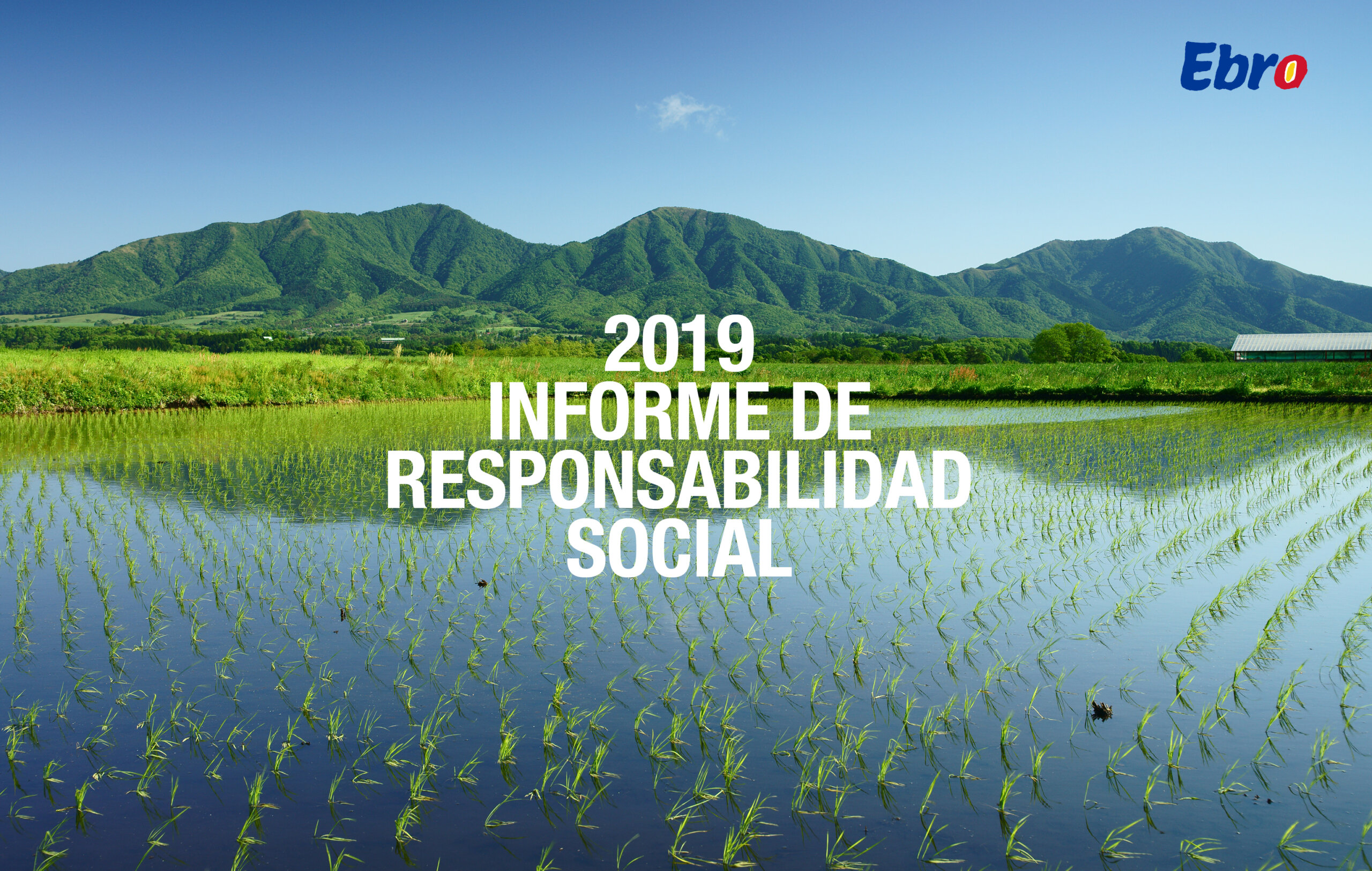 Informe RSE 2019