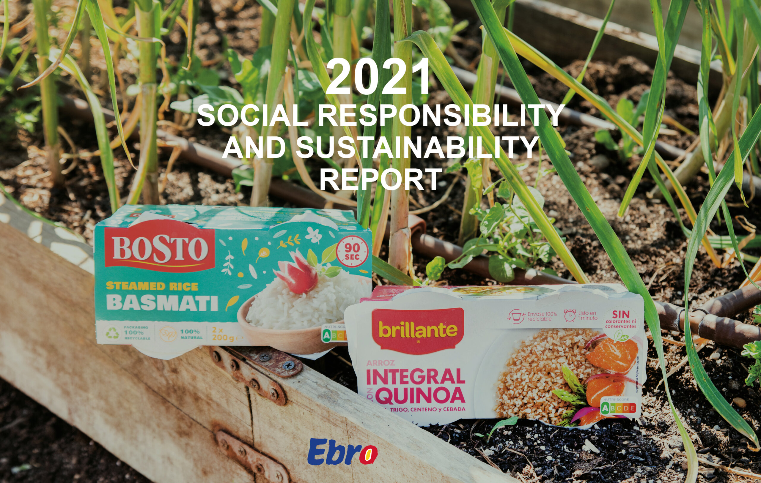 CSR Reports 2021