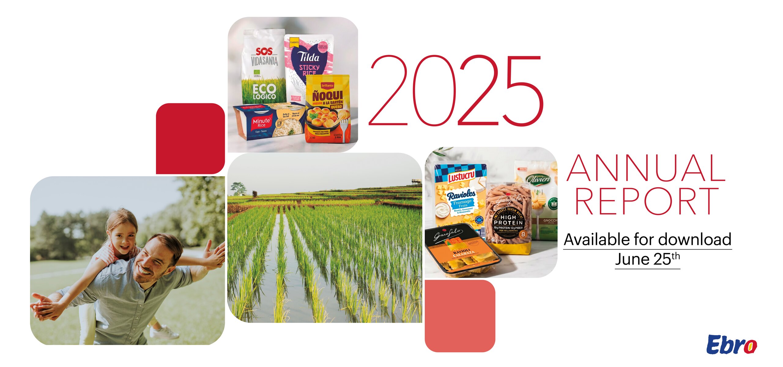 Ebro Foods - Annual Report 2025